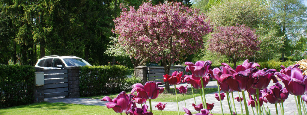 Aiakujundus ja aiaplaan