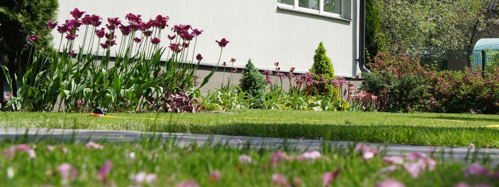 Aiakujundus ja aiaplaan