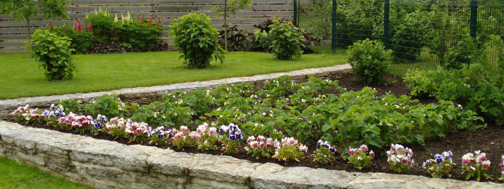 Aiakujundus ja aiaplaan