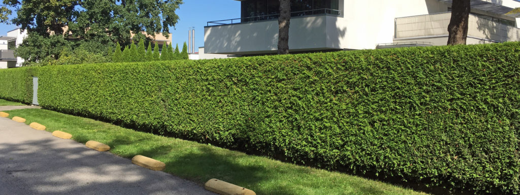 Heki lõikus ja põgamine