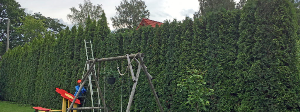 Heki lõikus ja põgamine