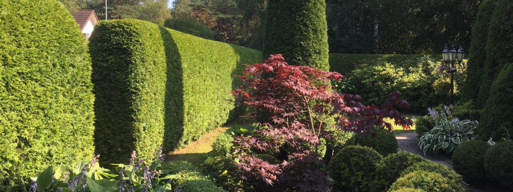 Heki lõikus ja põgamine