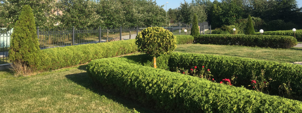 Heki lõikus ja põgamine