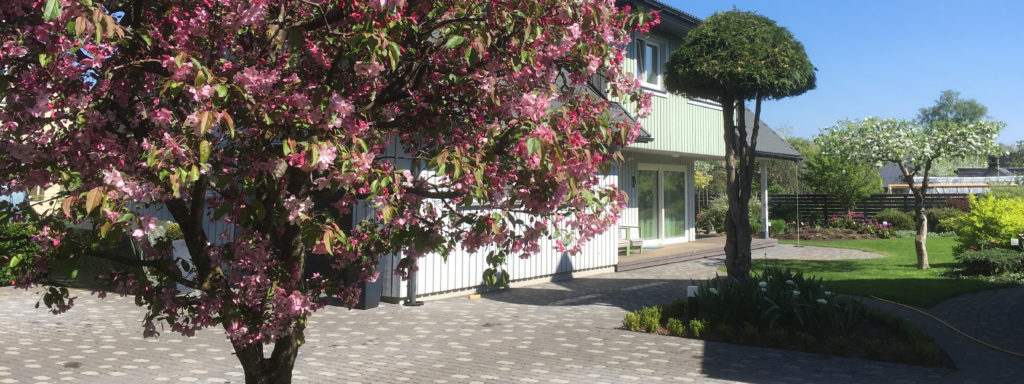 Aiakujundus ja aiaplaan