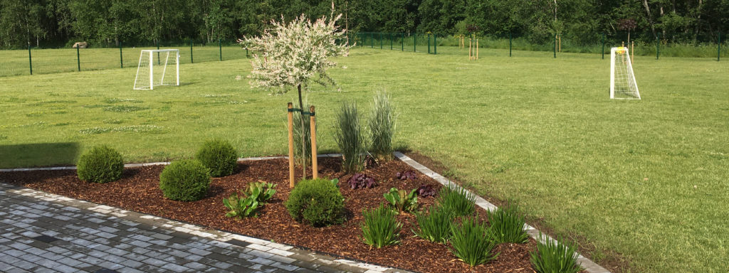 Aiakujundus ja aiaplaan