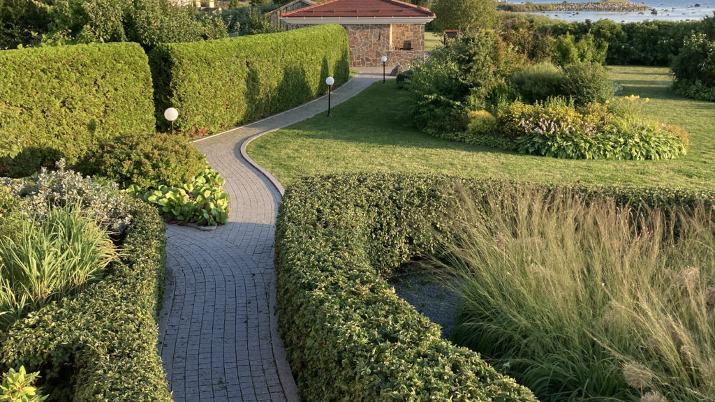 Heki lõikus ja pügamine