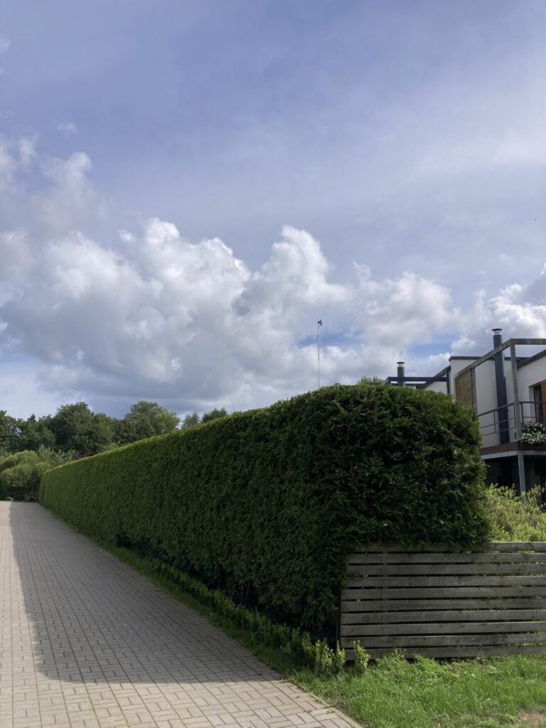 Heki lõikus ja pügamine