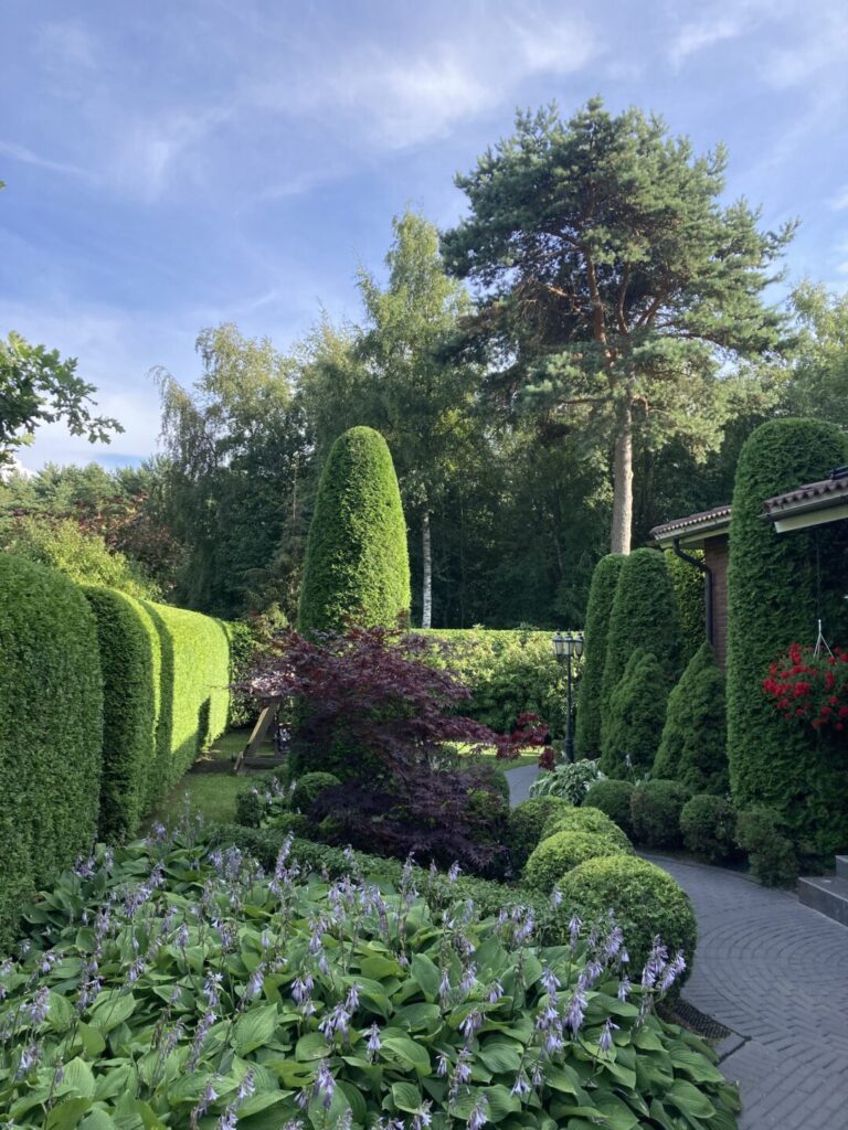 Heki lõikus ja pügamine