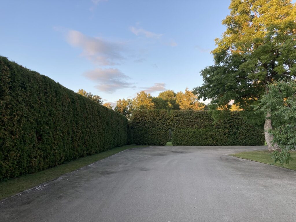 Heki lõikus ja pügamine