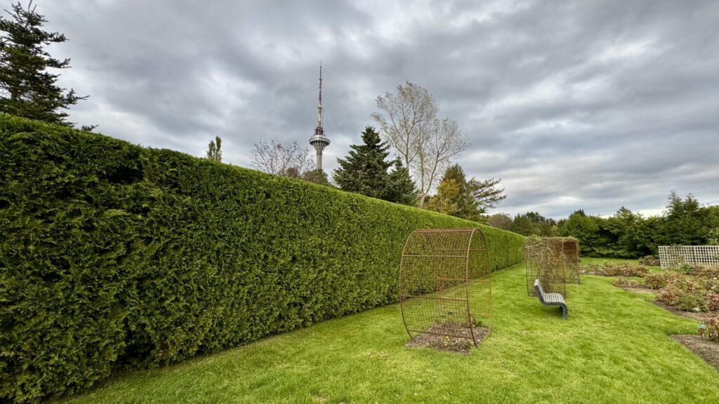 Heki lõikus ja pügamine