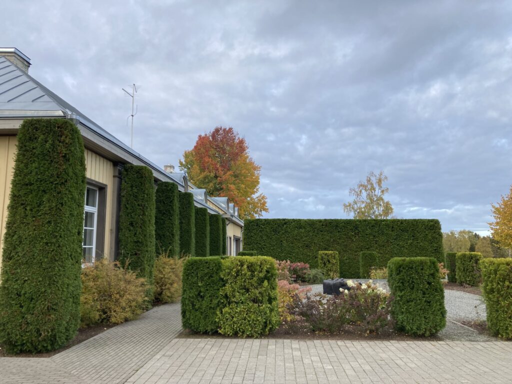 Topiaar sammasvormid